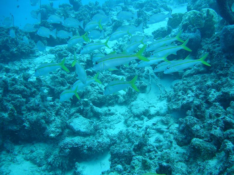 2010-11-22 19-16-11 Mary.JPG